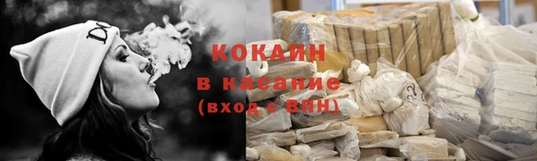 шишки Вязники