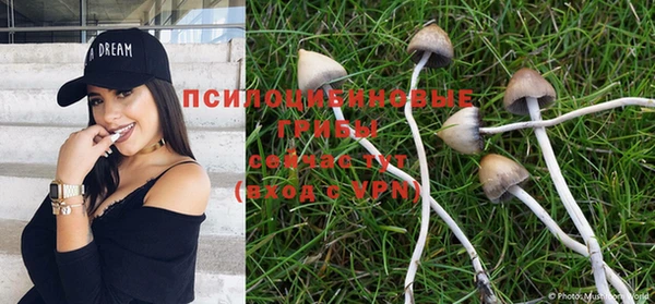 таблы Вяземский