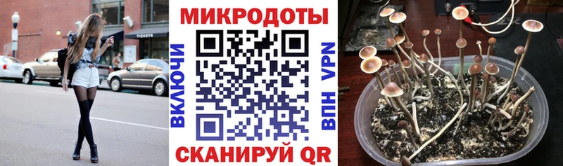 Псилоцибиновые грибы мицелий  сколько стоит  Самара 